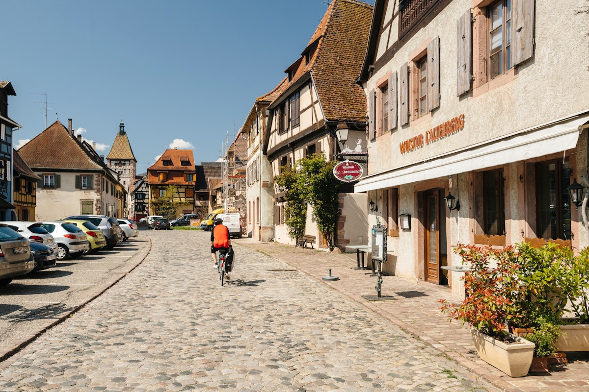 Cyclist on the central cobblestone pavement road of Bergheim, France.