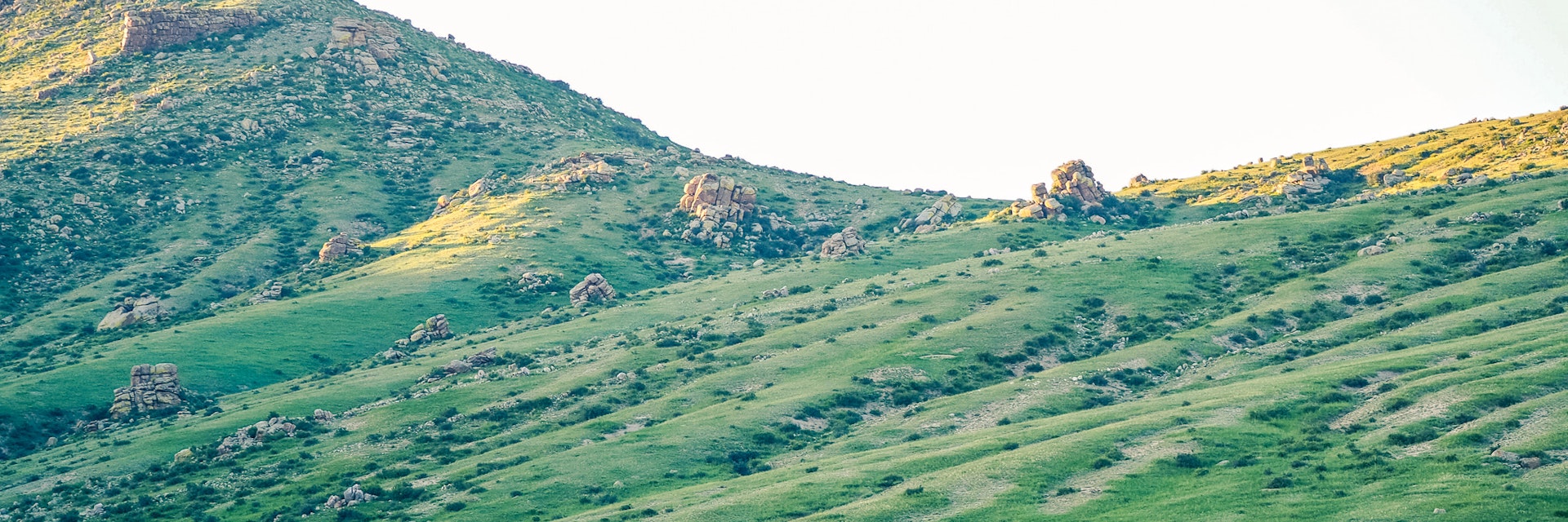 Khustain Nuruu National Park also known as Hustain National Park is a declared protected area and home to the reintroduced Takhi Horse or Przewalski’ Horse.
Khustain Nuruu National Park also known as Hustain National Park is a declared protected area and home to the reintroduced Takhi Horse or Przewalski’ Horse.
1218362078