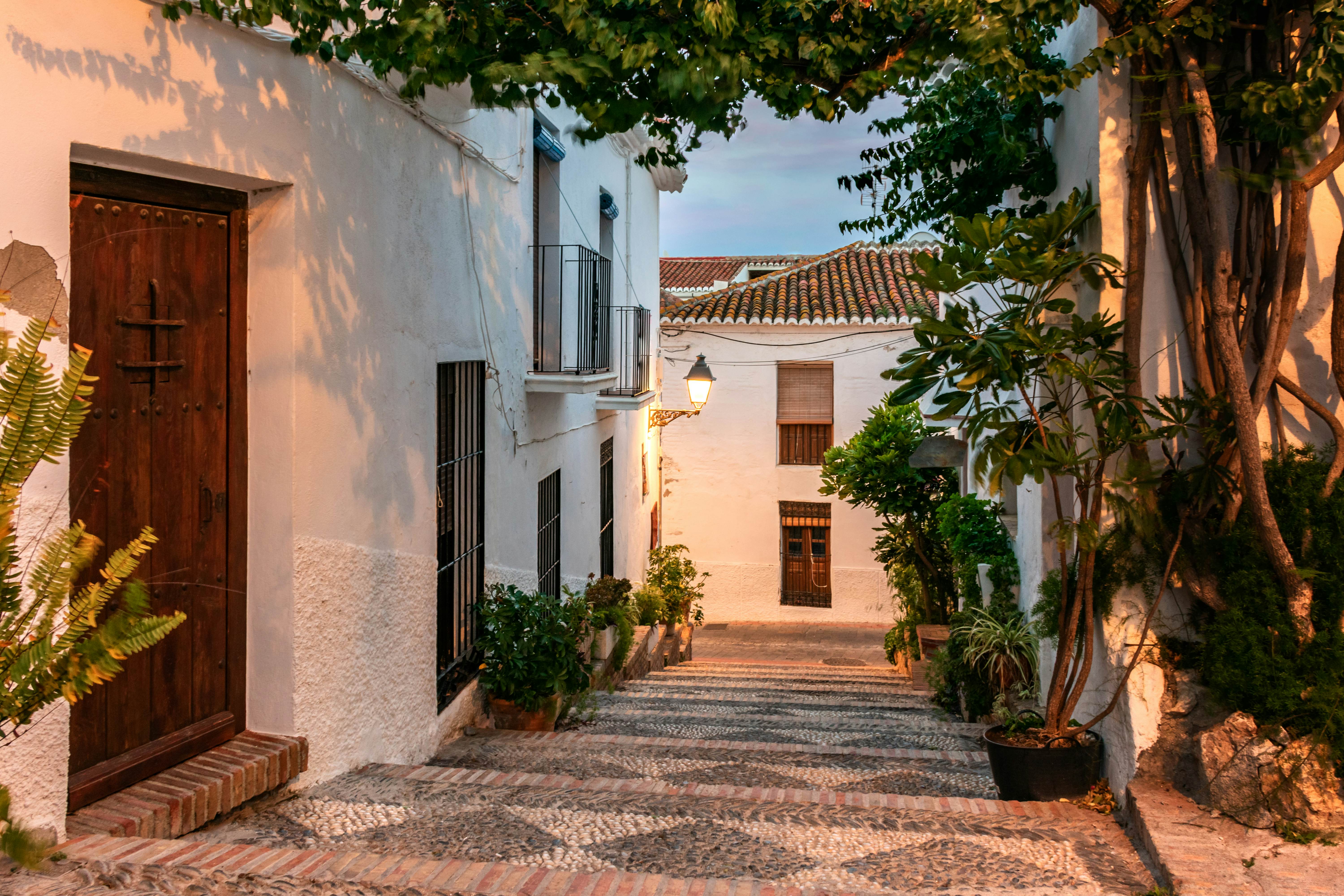 Alley at sunset with a lit street lamp, plants, pots and a vine that covers the roof of the street to shade in Salobreña, Granada.