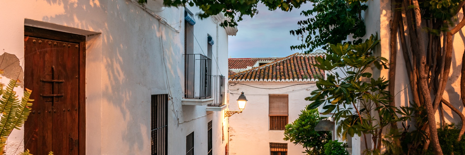 Alley at sunset with a lit street lamp, plants, pots and a vine that covers the roof of the street to shade in Salobreña, Granada.