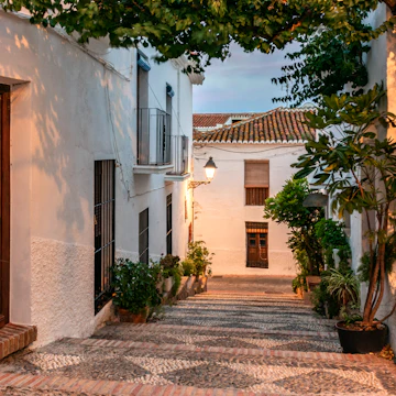 Alley at sunset with a lit street lamp, plants, pots and a vine that covers the roof of the street to shade in Salobreña, Granada.