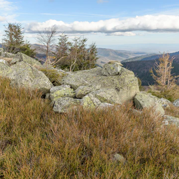 The Ballons des Vosges Regional Natural Park.