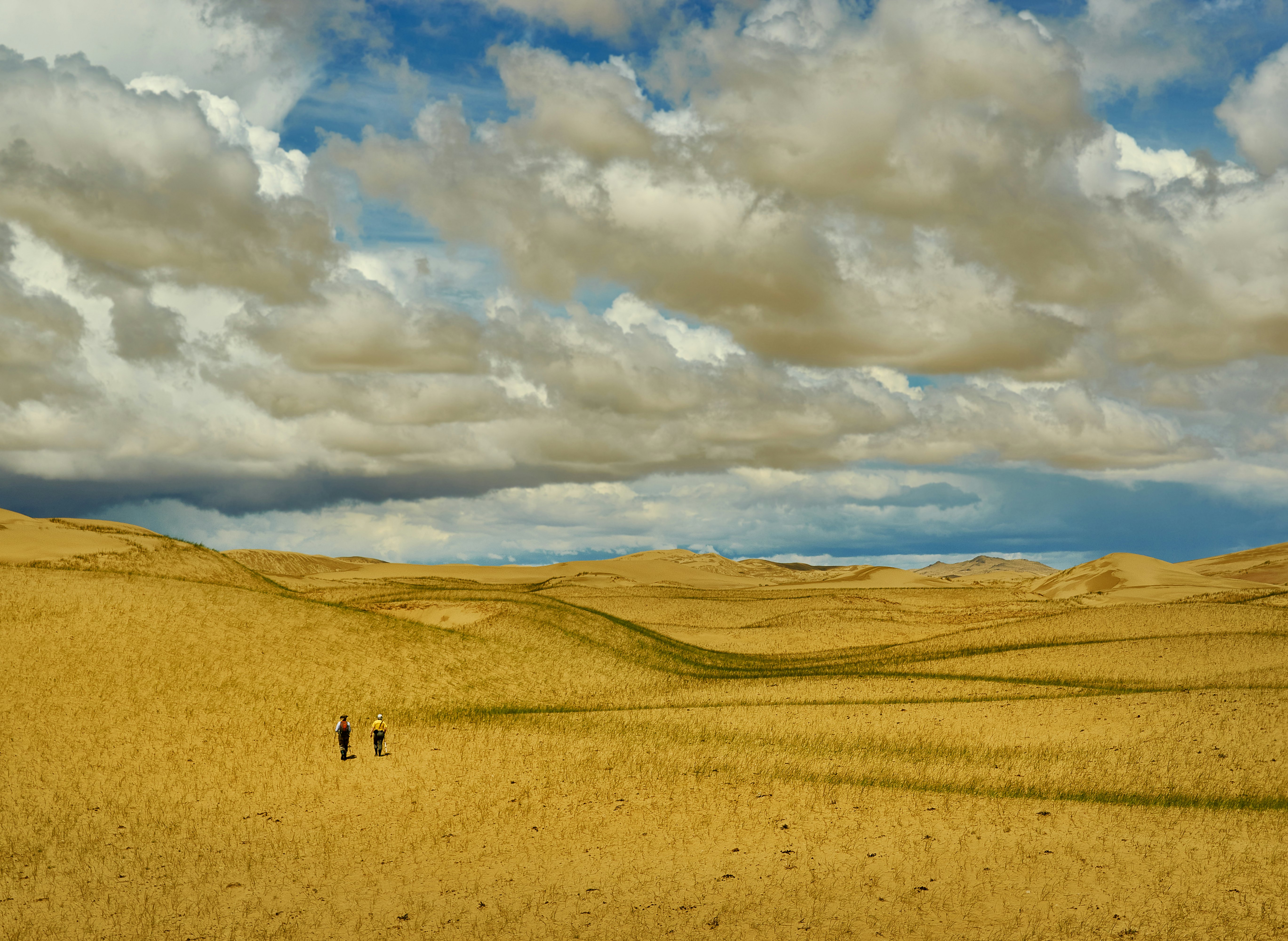 Mongolia. Sands Mongol Els, sandy dune desert, bright sunny day
1427612316