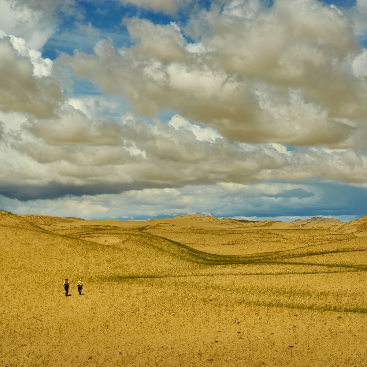 Mongolia. Sands Mongol Els, sandy dune desert, bright sunny day
1427612316