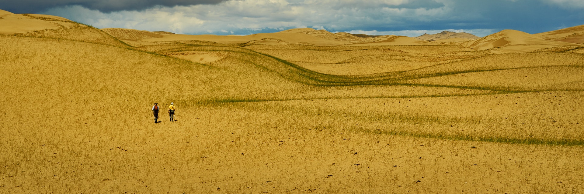 Mongolia. Sands Mongol Els, sandy dune desert, bright sunny day
1427612316