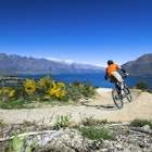 Mountain bike rider on bike path in Queenstown, New Zealand
500627852
Extreme Sports, Tourism, Men, Males, Riding, The Remarkables, Fun, Scenics, Mountain Bike, Exhilaration, South, Sport, Nature, Outdoors, Horizontal, Cycling, Queenstown, New Zealand, Springtime, Mountain, Landscape, Lake Wakatipu, Lake, Cityscape, City, Town, Riding