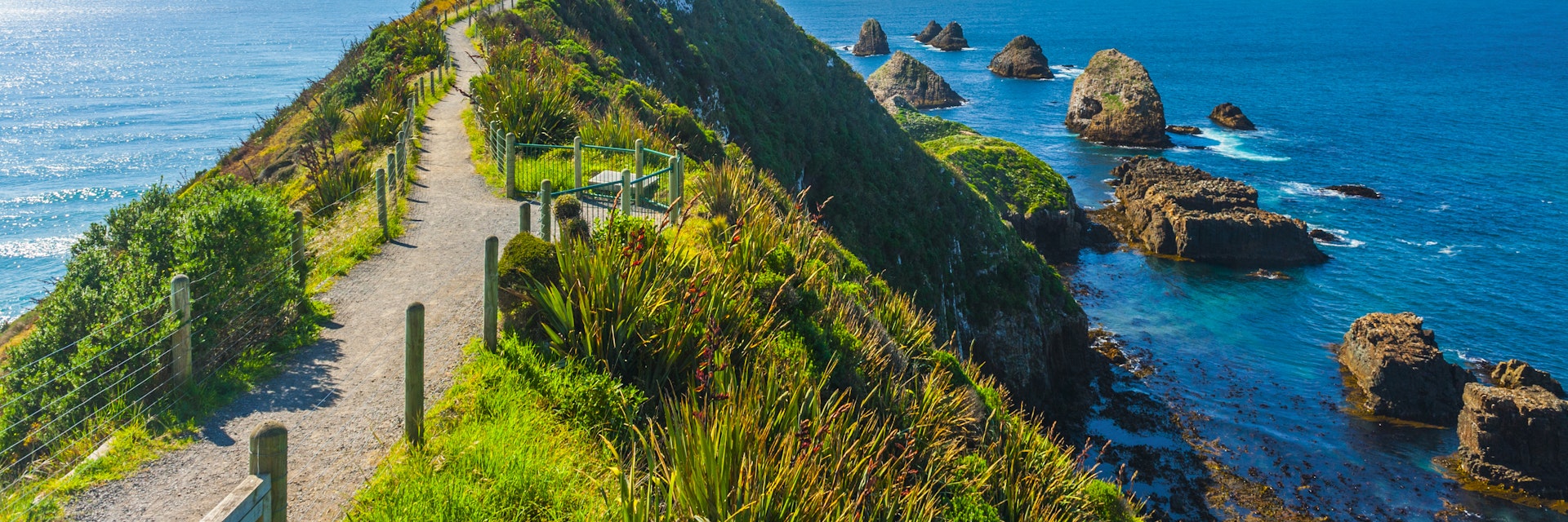 Lighthouse on Nugget Point.