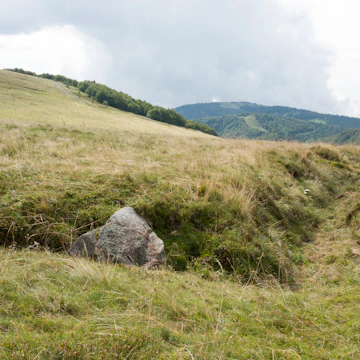 Old trench of the first world war on the Ballon d'Alsace in France.