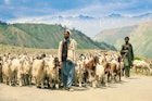 Shepherds with their flocks in the mountains of Gilgit-Baltistan