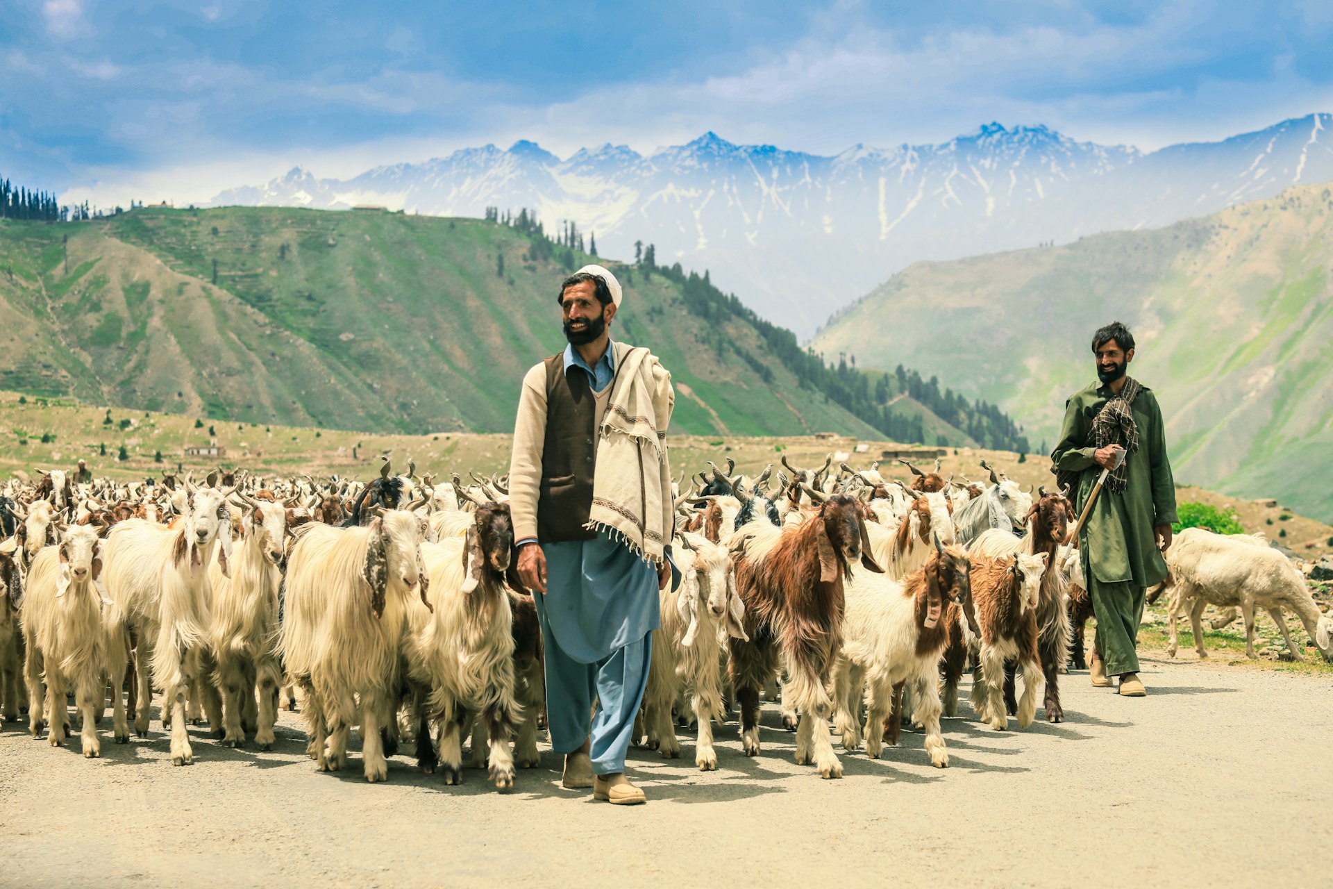 Shepherds with their flocks in the mountains of Gilgit-Baltistan