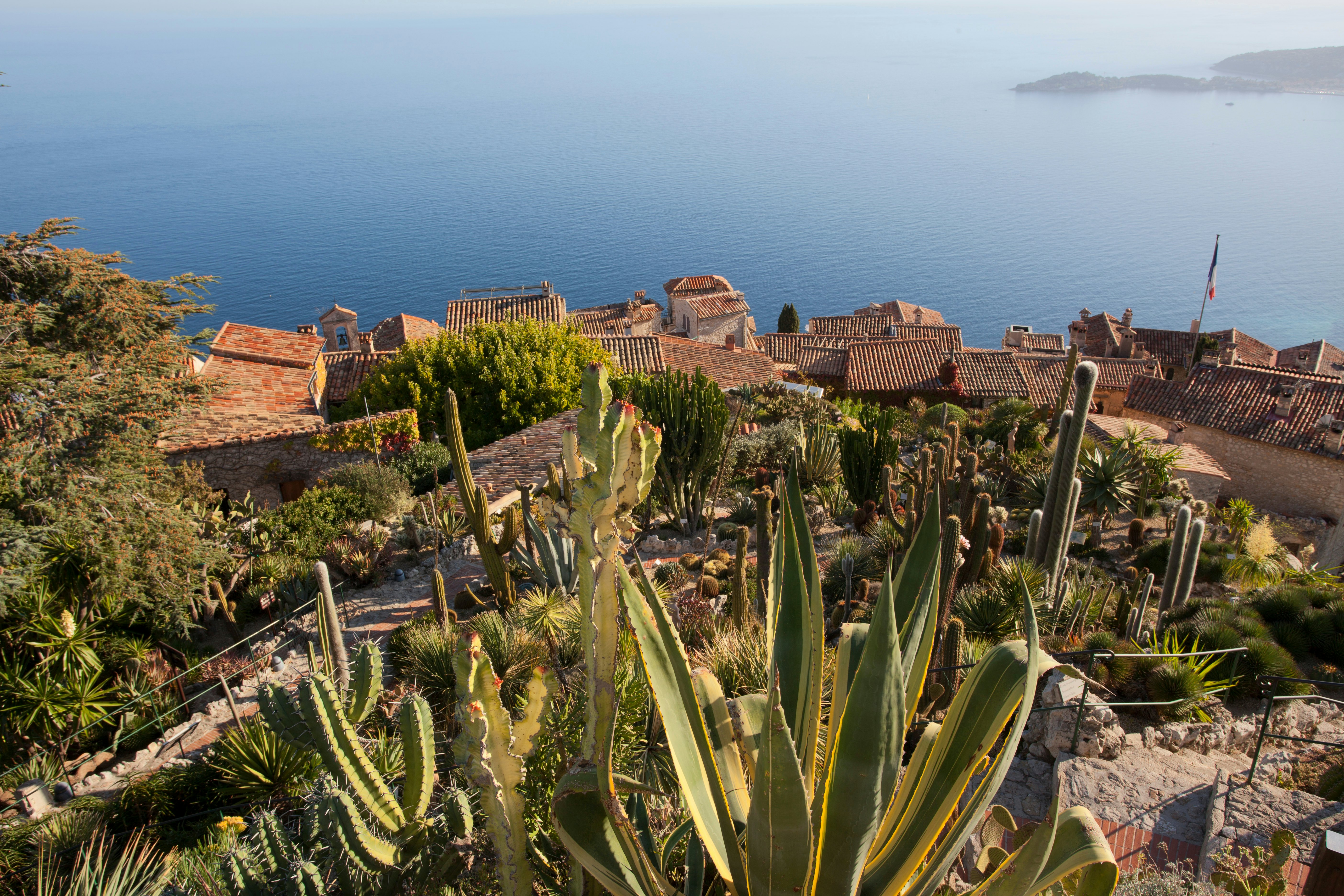 Scenery from Jardin Exotique d'Èze.