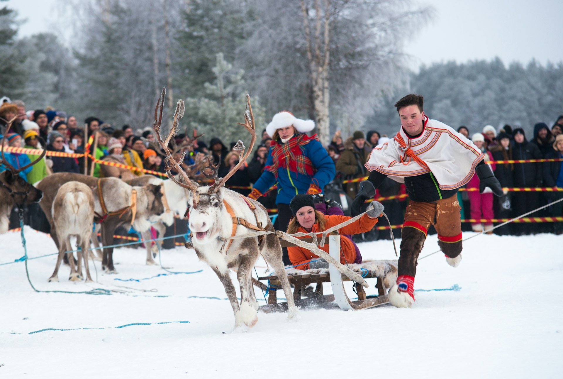 Traditional reindeer race at annual Sami Market, Jokkmokk, Sweden