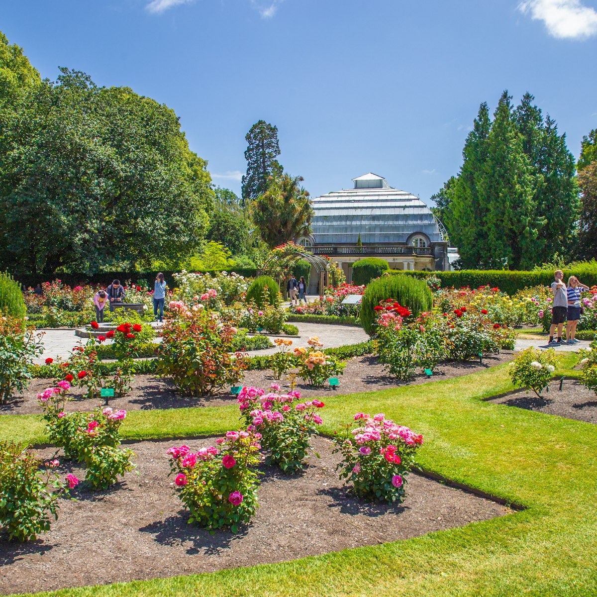 Christchurch Botanic Gardens.