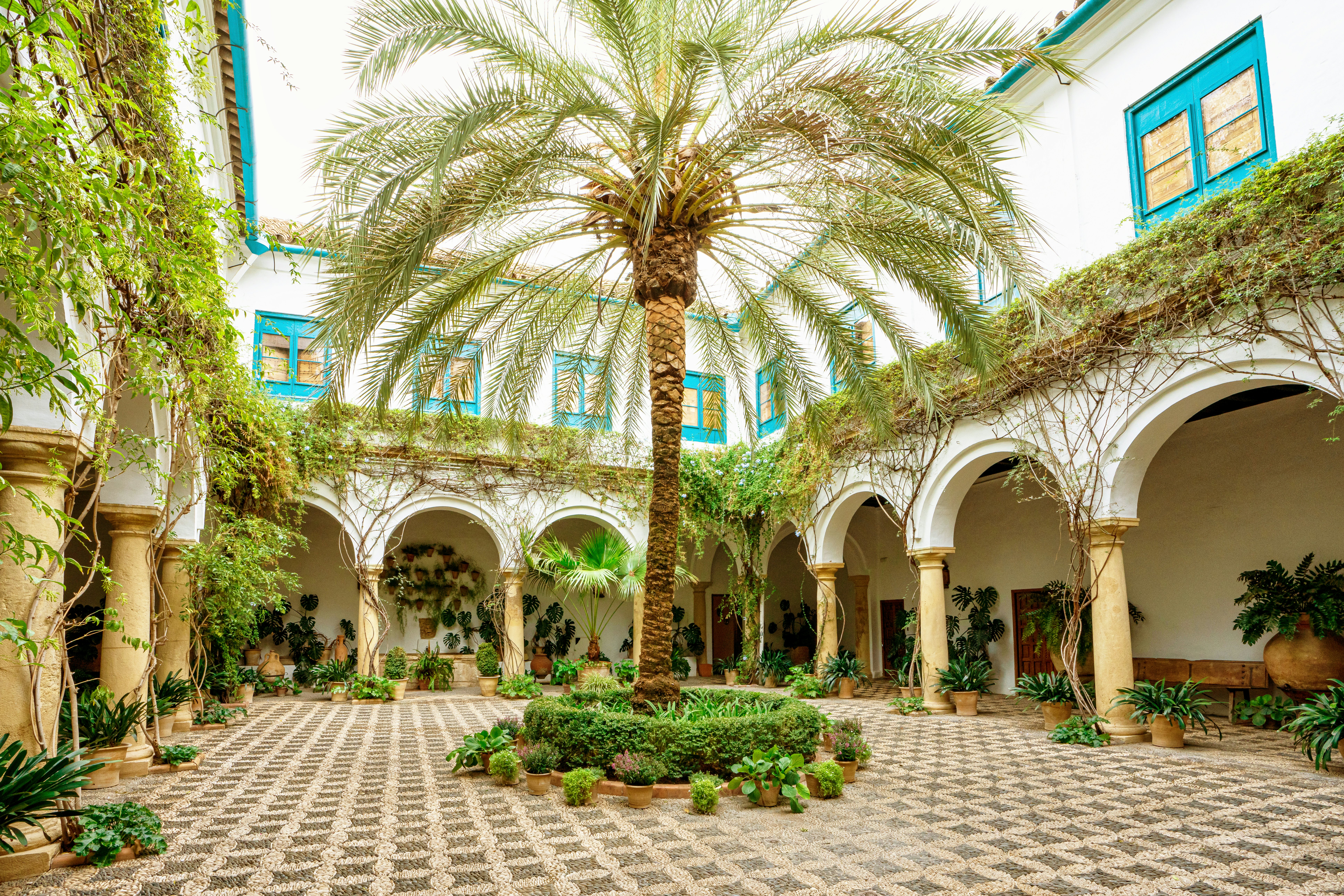 Courtyard garden of Viana Palace in Cordoba, Andalusia. Built in XV century. Viana Palace is a tourist attraction known for its 12 magnificent patios and gardens.