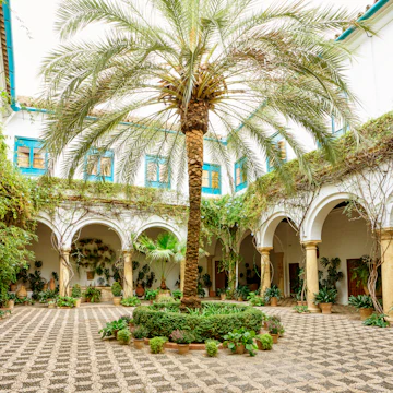 Courtyard garden of Viana Palace in Cordoba, Andalusia. Built in XV century. Viana Palace is a tourist attraction known for its 12 magnificent patios and gardens.
