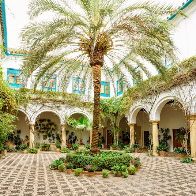 Courtyard garden of Viana Palace in Cordoba, Andalusia. Built in XV century. Viana Palace is a tourist attraction known for its 12 magnificent patios and gardens.