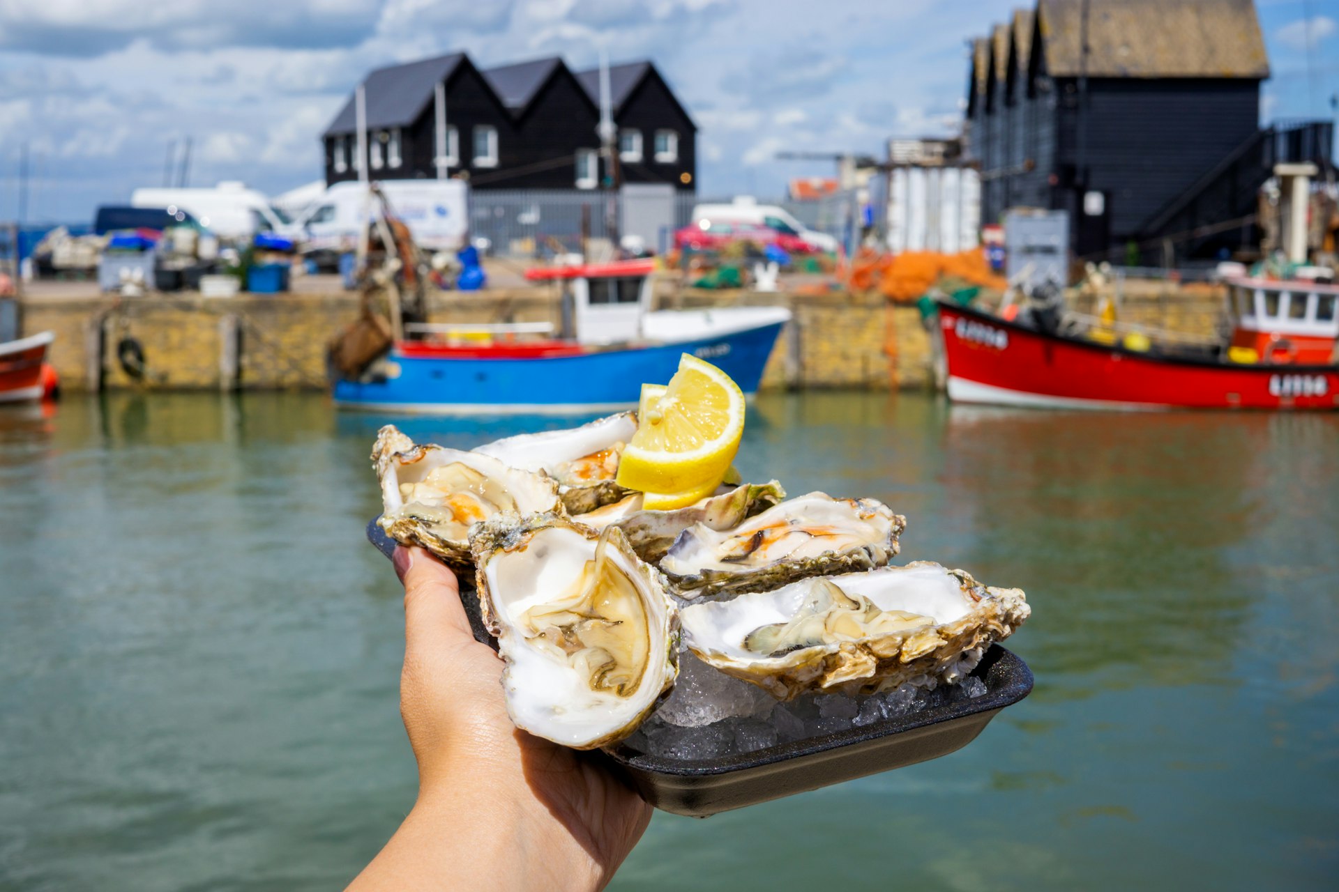 Oysters from the harbour in a seaside town on the north east coast of Kent, south England