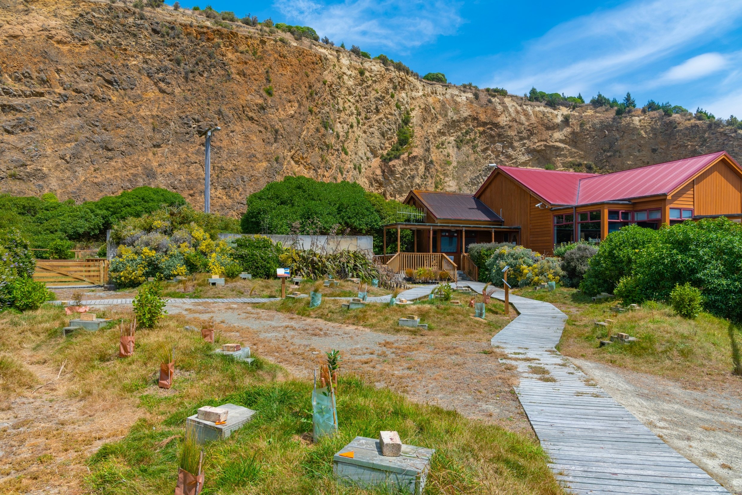 Observation area of Oamaru Blue Penguin Colony in New Zealand.