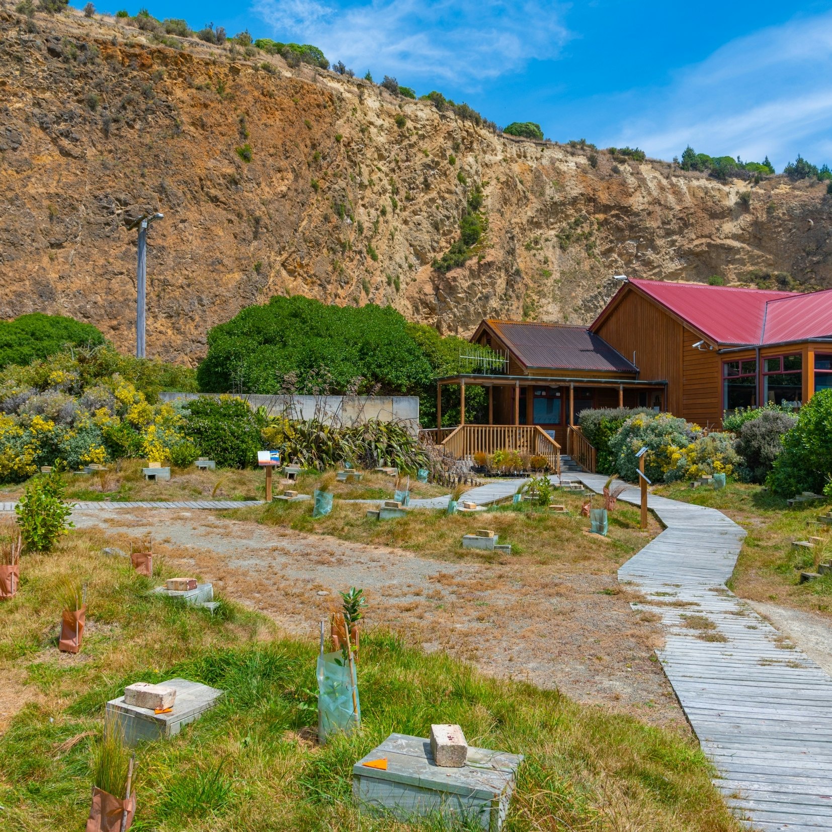 Observation area of Oamaru Blue Penguin Colony in New Zealand.