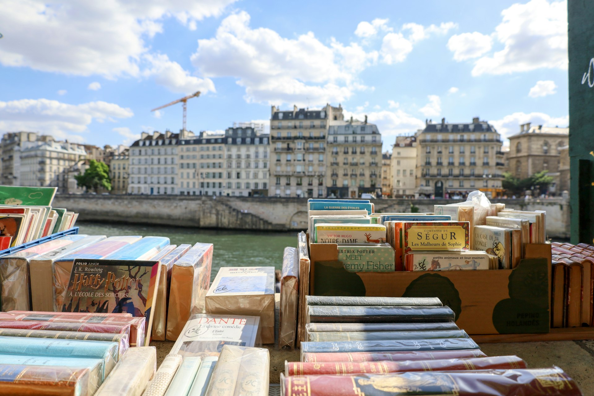 Vintage books at an open-air book stall along the Seine, Paris, France