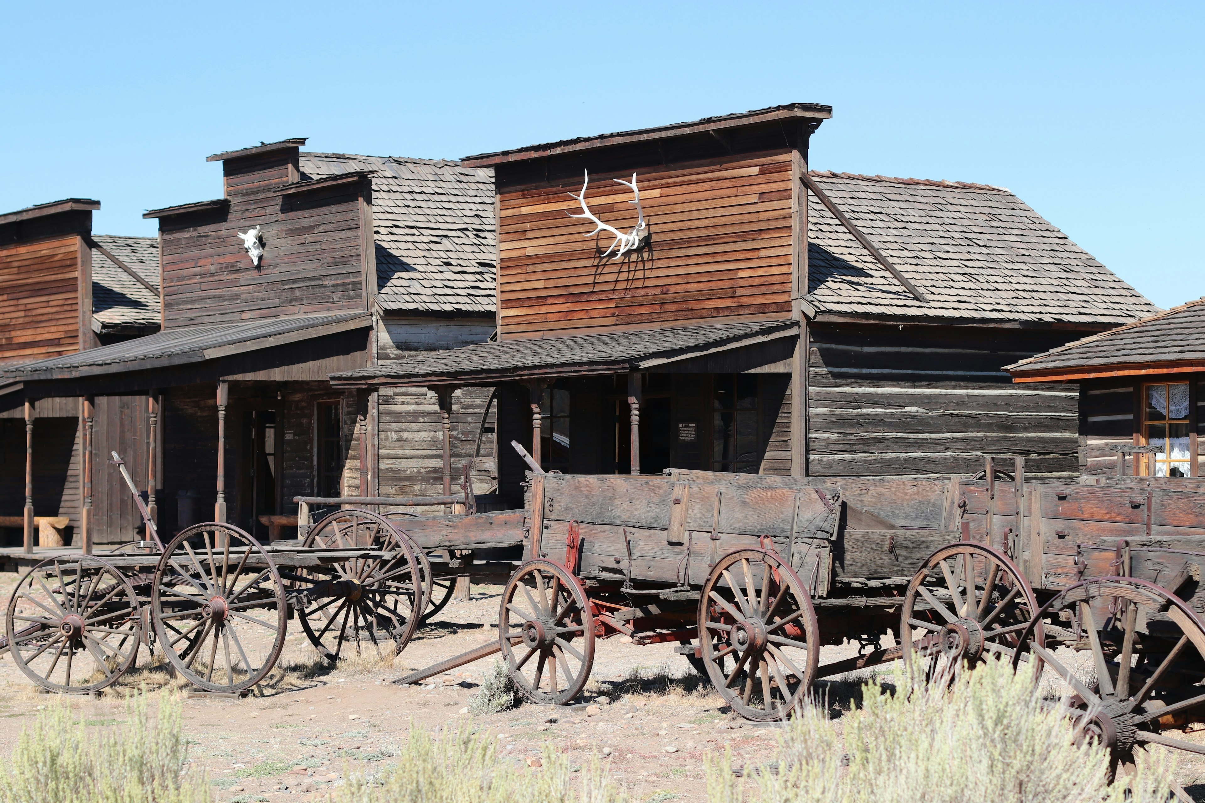 Historic log houses and wagons in Old Trail Town, Cody, Wyoming