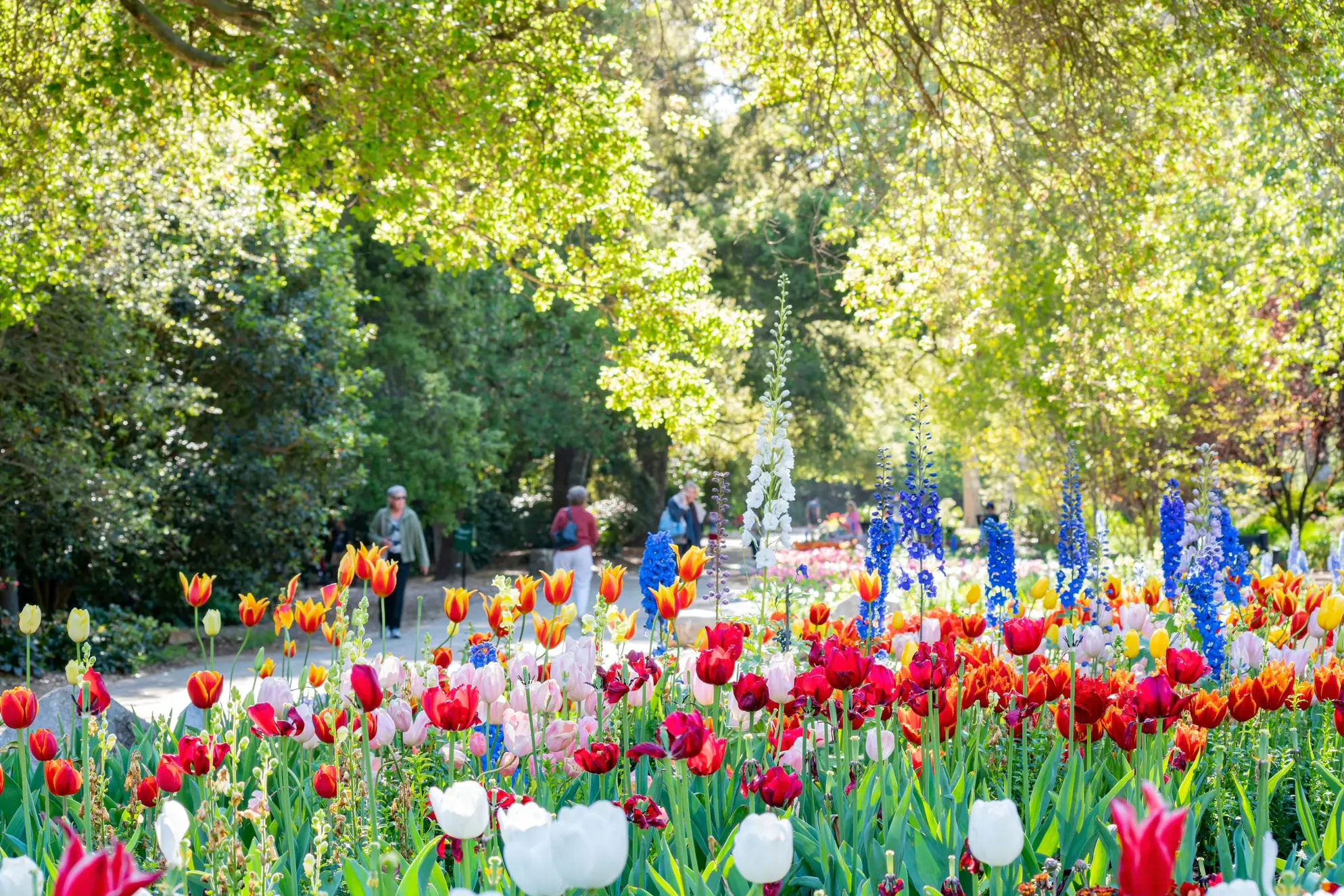 Spring In La The best time to visit Los Angeles - Lonely Planet