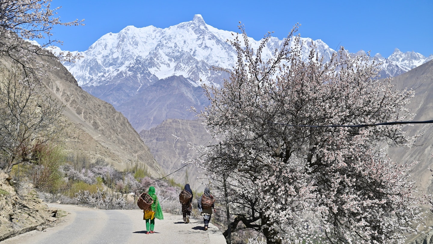 Apricot Blossoms and Highway with Snowy Mountain View in Hopar Valley; Shutterstock ID 2301060871; your: Claire Naylor; gl: 65050; netsuite: Online ed; full: Pakistan when to go
2301060871