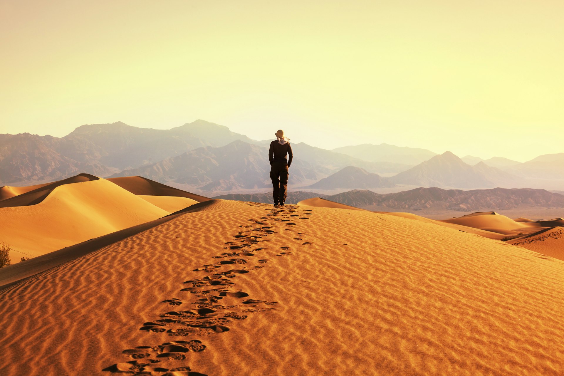 A person walks along the top of a sand dune in a desert