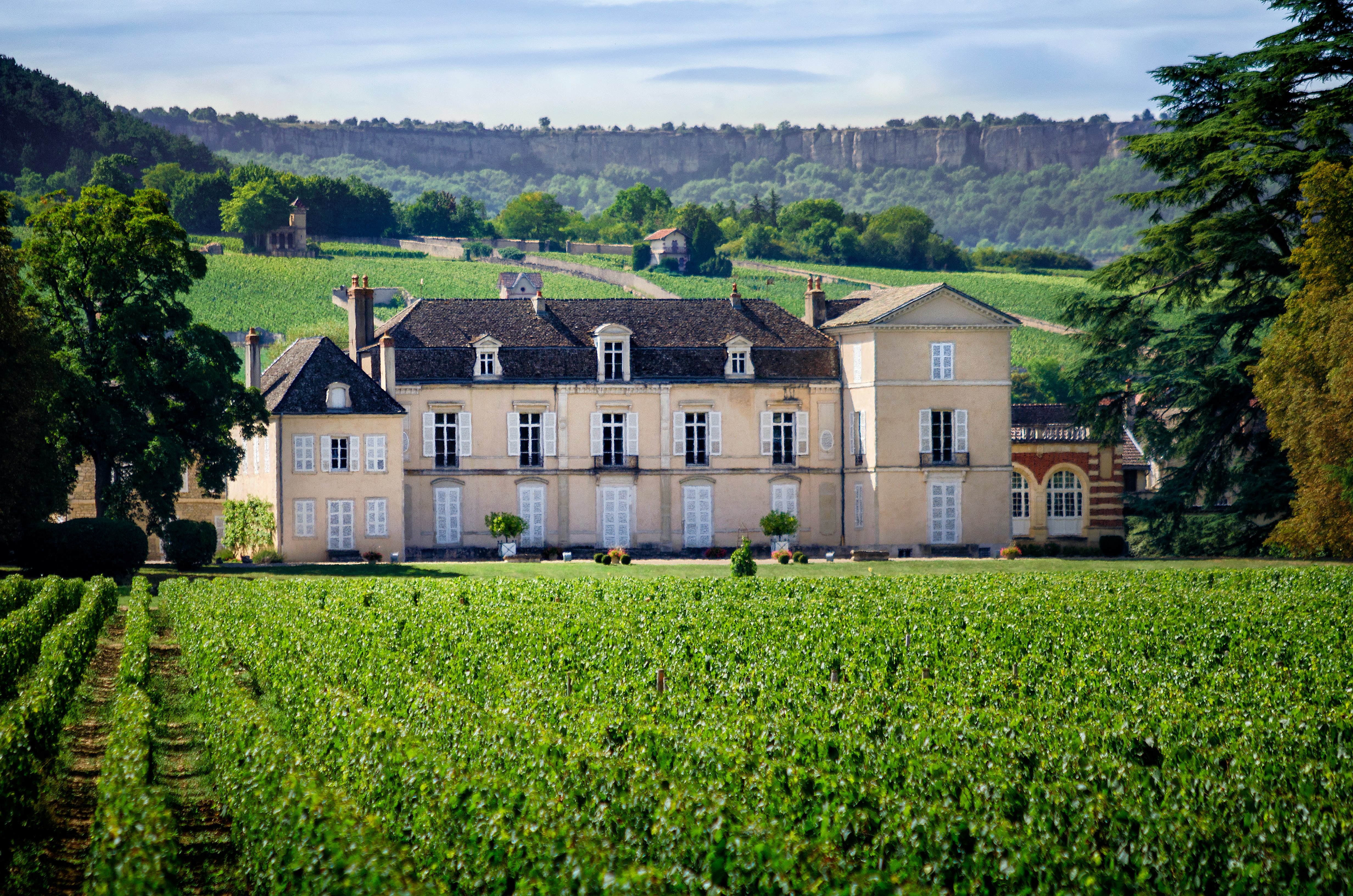 A large mansion house with neat rows of green vines growing in its grounds.