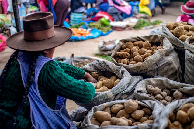 Cusco, Peru - March 31 2019: Indigenous woman selling different types of potatoes at "Vinocanchon San Jeronimo" market. Poor Peruvian female peasant.; Shutterstock ID 1356423413; your: Ben N Buckner; gl: 65050; netsuite: Online Editorial; full: PromPeru partnership
1356423413