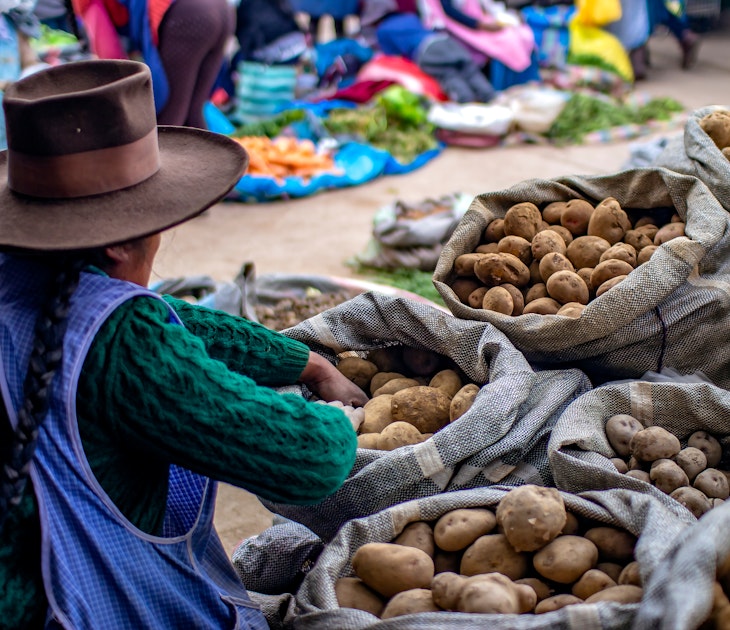Cusco, Peru - March 31 2019: Indigenous woman selling different types of potatoes at "Vinocanchon San Jeronimo" market. Poor Peruvian female peasant.; Shutterstock ID 1356423413; your: Ben N Buckner; gl: 65050; netsuite: Online Editorial; full: PromPeru partnership
1356423413