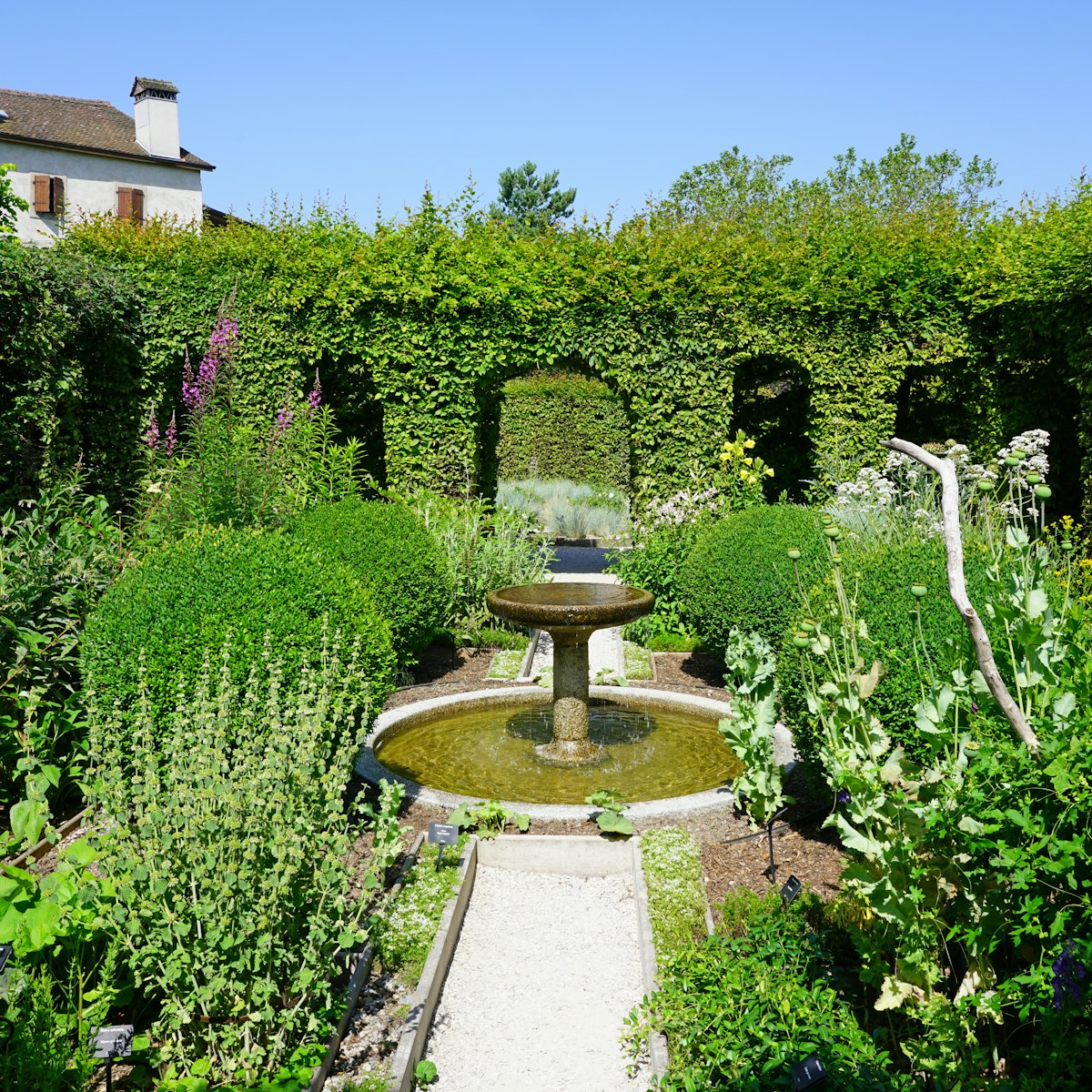 The Jardin des Cinq Sens (Five senses garden) in the medieval village of Yvoire, France.