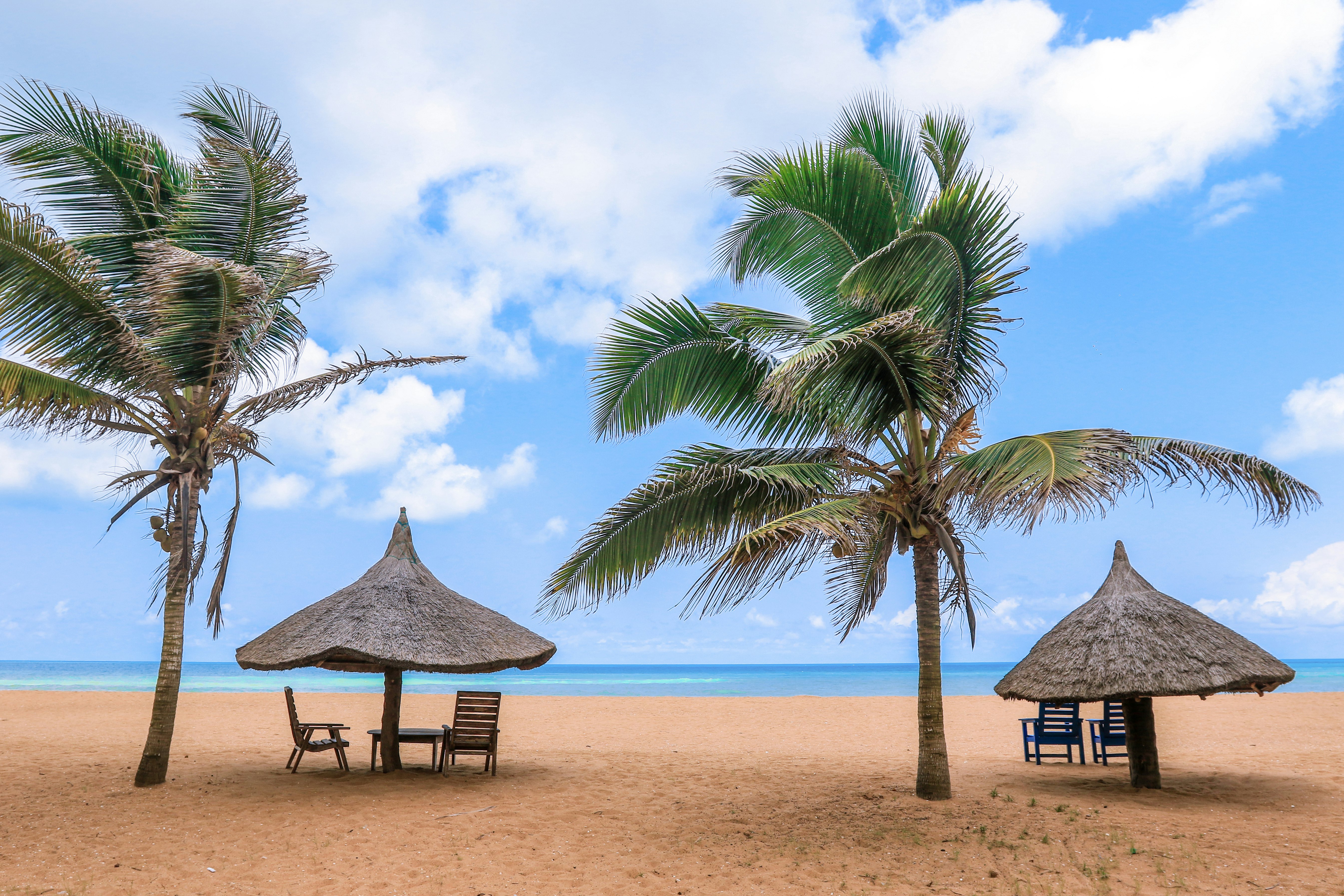 Two palm trees with parasols and chairs underneath them on the beach in Grand Popo, Benin