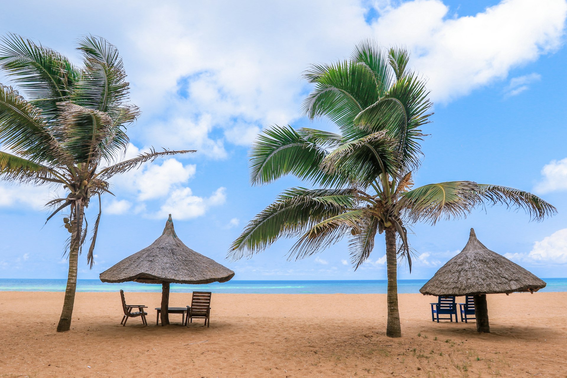 Two palm trees with parasols and chairs underneath them on the beach in Grand Popo, Benin