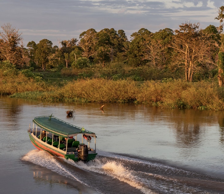 At first light in the early morning, an express passenger boat that services between Manaus and Careiro da Varzea, on the banks across the meeting of the two rivers - Negro and Amazon - heads with only one passenger along the flooded banks of the Amazon´s varzea. This is the only means of transport, as no bridges span across the Amazon river, though quite a few small cities lie along its banks. It is at least twice as fast as the ferry, which will take over an hour to do the same journey.
1005667338
am, amazonas, br-319, k-1 ii, upper amazon, upper amazon river, varzea, calm water, cloudy, early morning, ferry crossing, floodlands, jungle, nature scene, passenger transport, regional transport, speed boat, sunrise, transport, trees