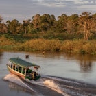 At first light in the early morning, an express passenger boat that services between Manaus and Careiro da Varzea, on the banks across the meeting of the two rivers - Negro and Amazon - heads with only one passenger along the flooded banks of the Amazon´s varzea. This is the only means of transport, as no bridges span across the Amazon river, though quite a few small cities lie along its banks. It is at least twice as fast as the ferry, which will take over an hour to do the same journey.
1005667338
am, amazonas, br-319, k-1 ii, upper amazon, upper amazon river, varzea, calm water, cloudy, early morning, ferry crossing, floodlands, jungle, nature scene, passenger transport, regional transport, speed boat, sunrise, transport, trees