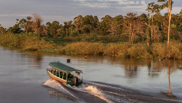 Lonely Plan-it: How to float down the Amazon and enjoy memorable meals around Manaus, Brazil