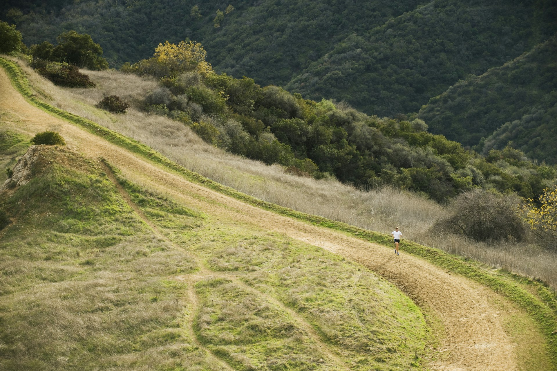 A runner jogs along a green and wooded hilly part of the Cistern Trail, Malibu