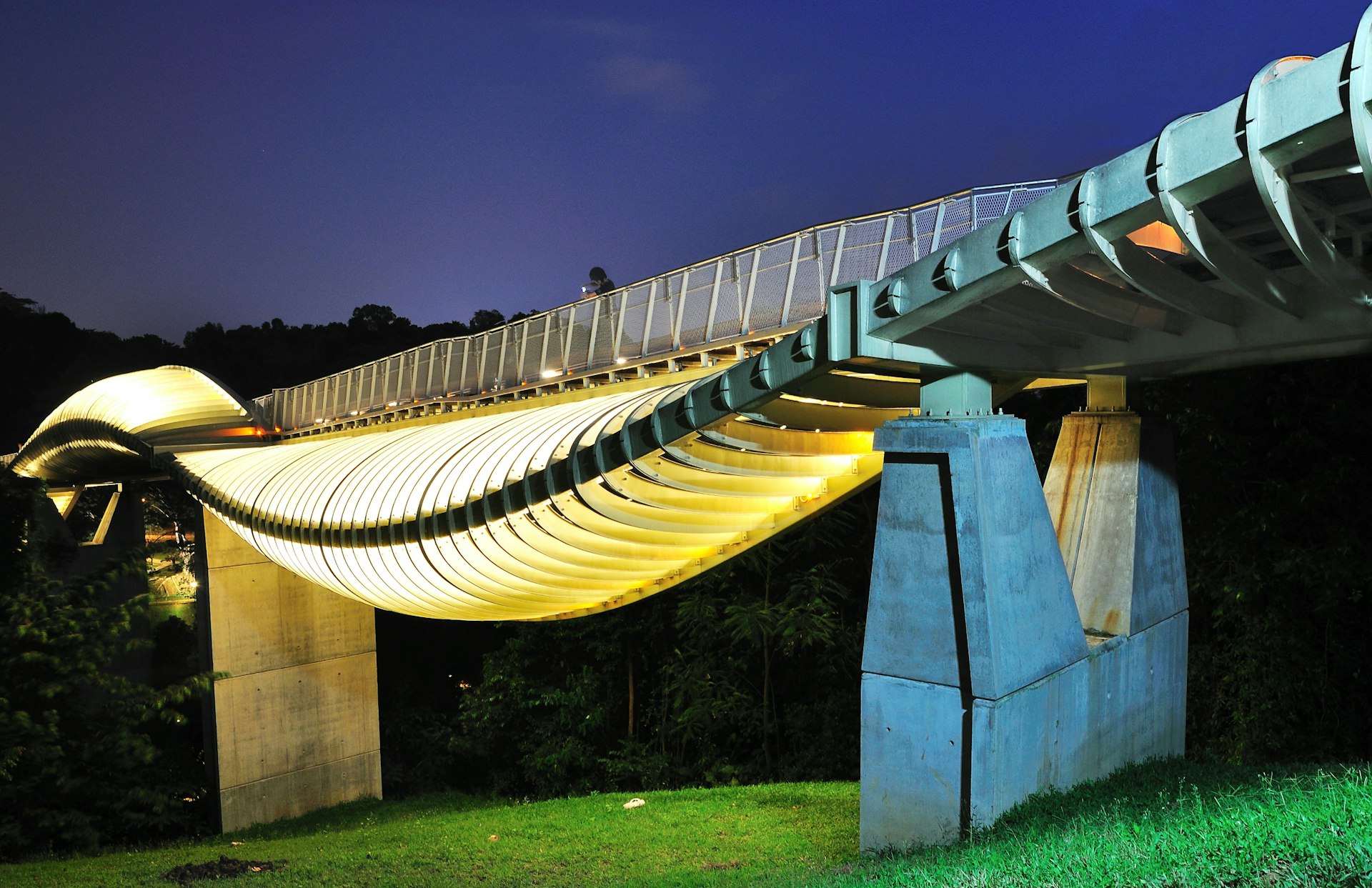 An illuminated, modern-looking bridge at dusk in Singapore