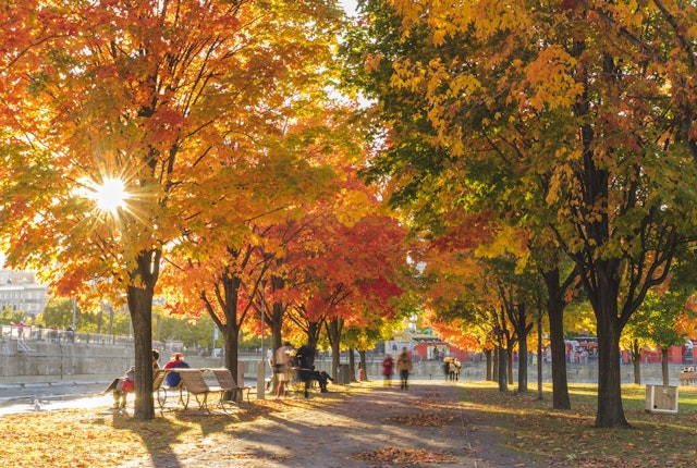 Montréal's parks are relaxing free spaces to wander around, particularly in fall. Getty Images