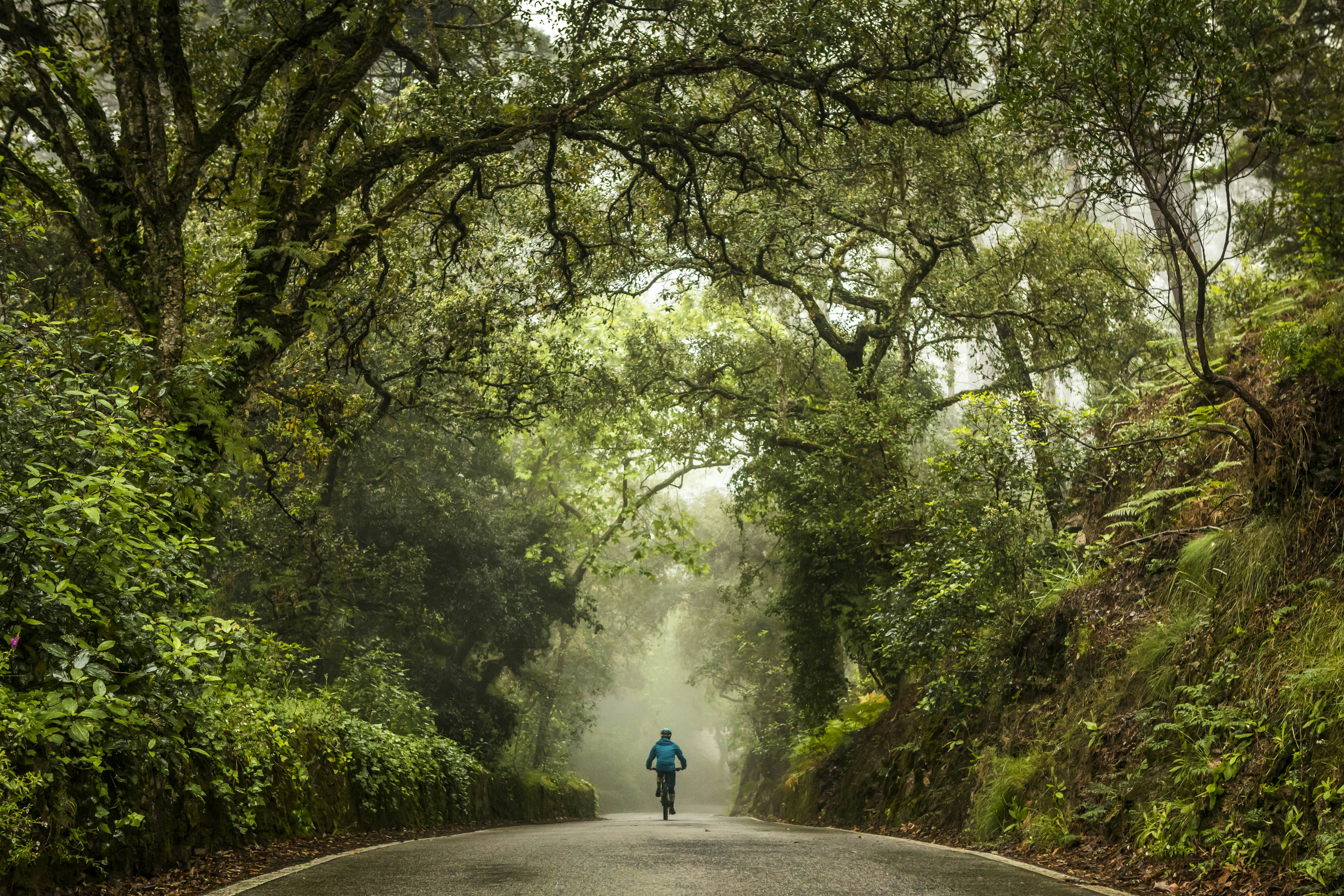 Vale dos Lagos at Parque de Pena - All You Need to Know BEFORE You