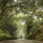 Mountain biker riding his bike on country road in Portugal on misty day with moody trees around him.
1217722434