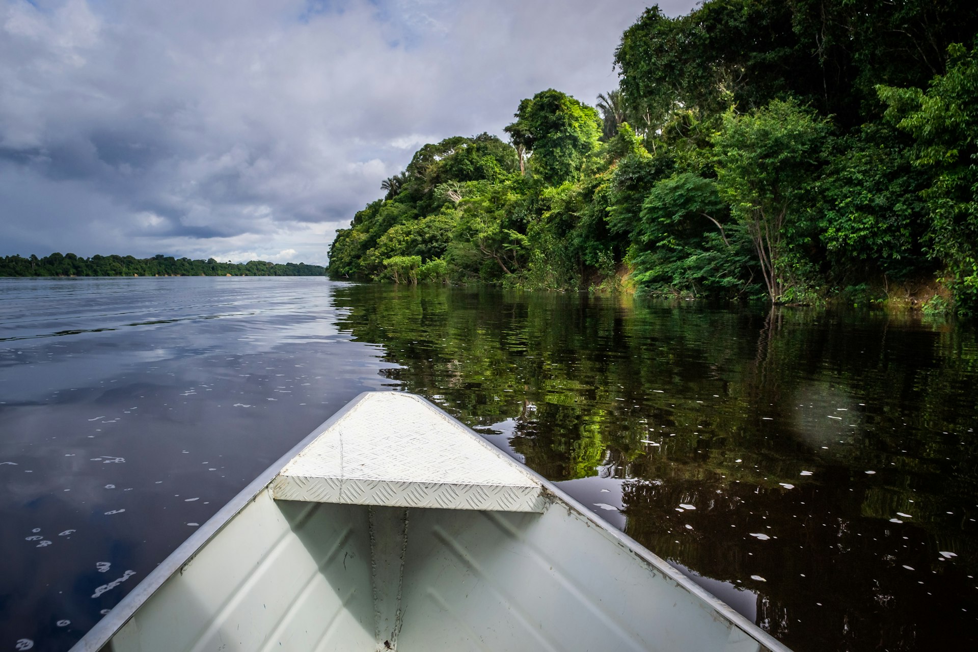 The view of the river from the prow of a boat in Anavilhanas National Park, Brazil