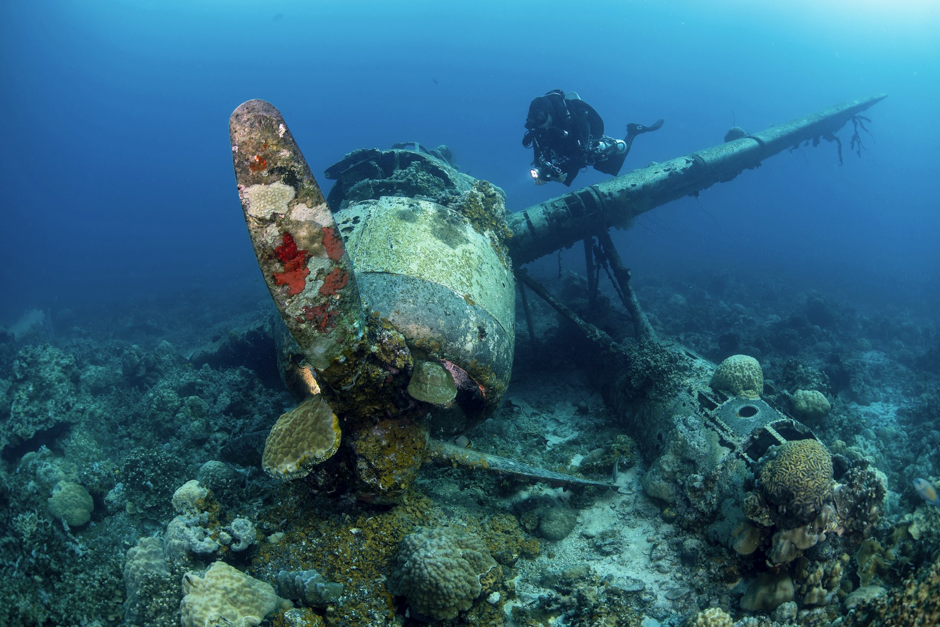 A scuba diver looking at a Japanese airplane wreck on the floor of the ocean in Palau