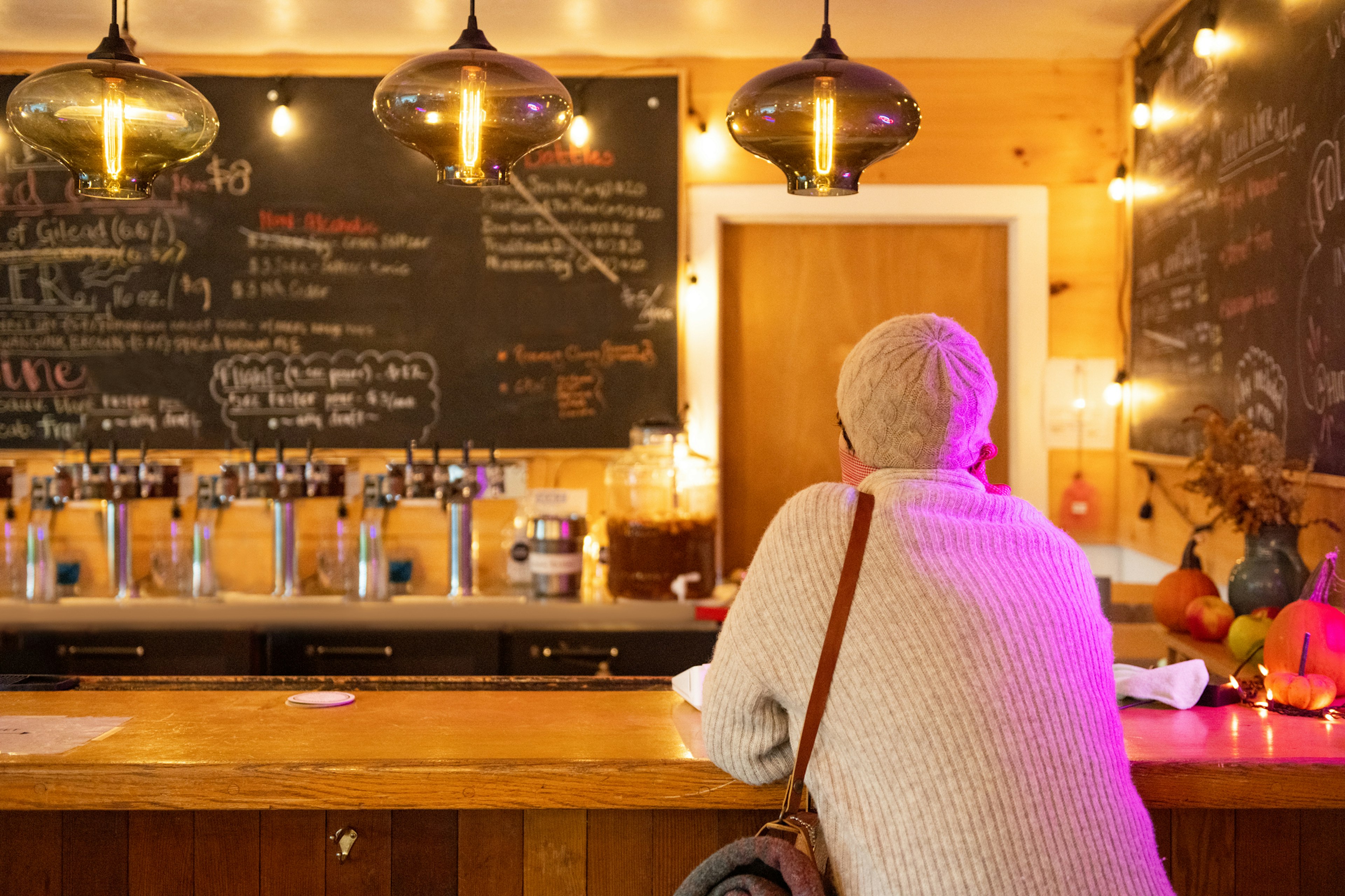 the back of a non Binary person of mixed race in her 30s ordering cider at the Stone Ridge Orchard farm bar in the Hudson Valley in upstate New York.