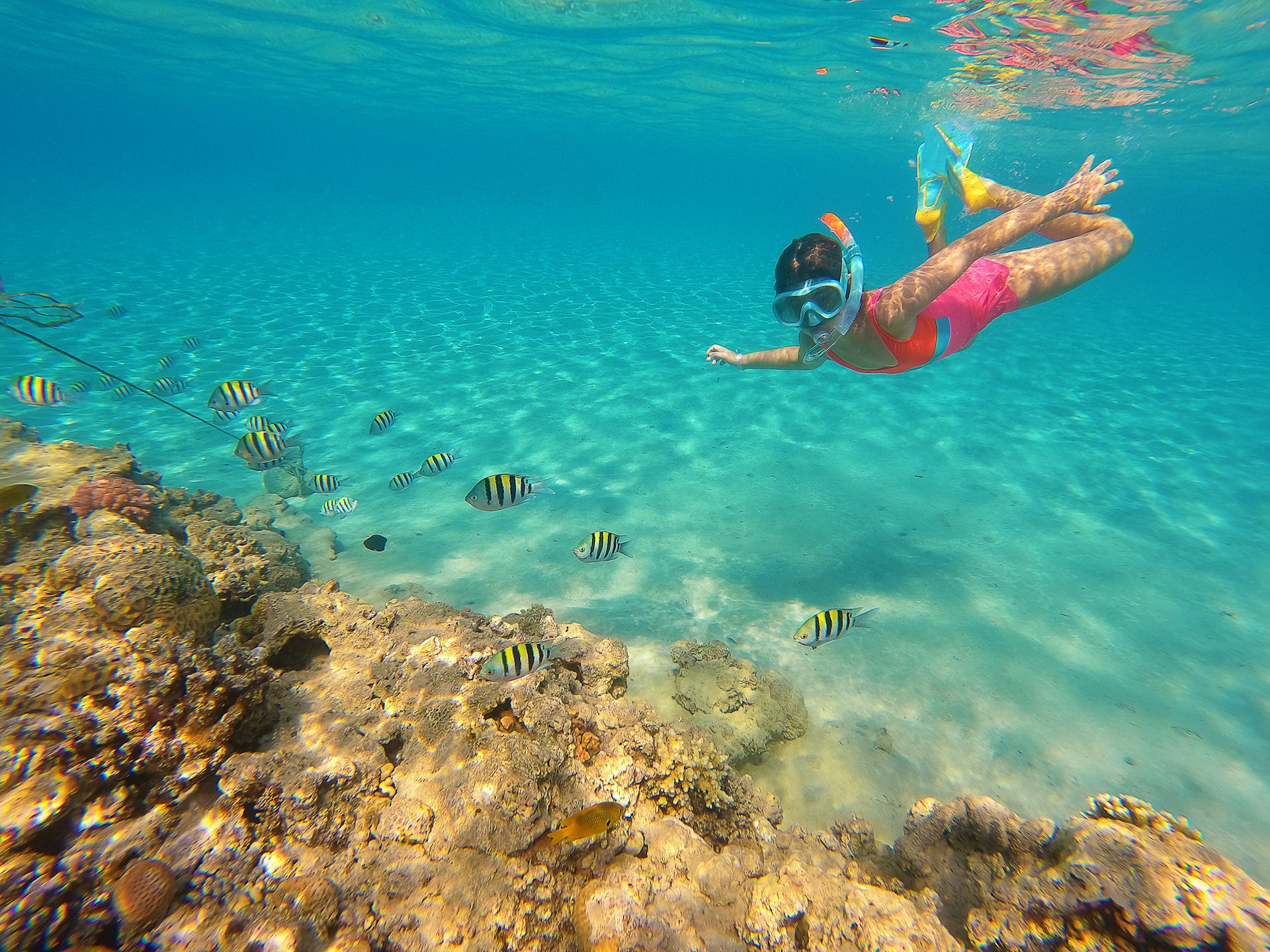 A teenage girl snorkels at a coral reef in Hurghada, Egypt