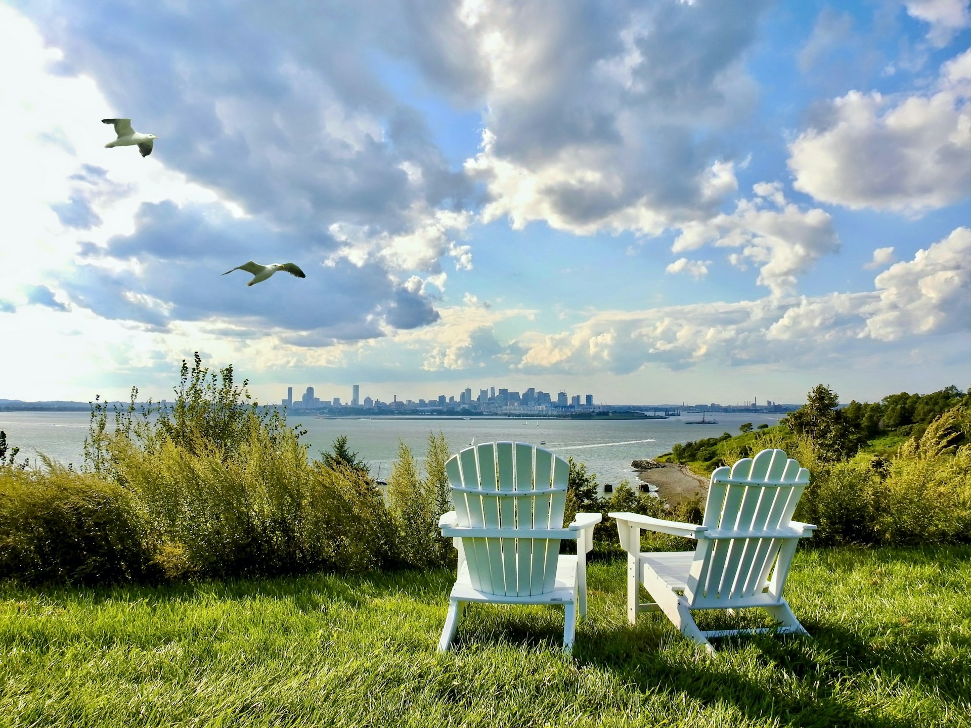 Two seagulls soar above Spectacle Island, with the cityscape in the distance, Boston, Massachusetts, USA