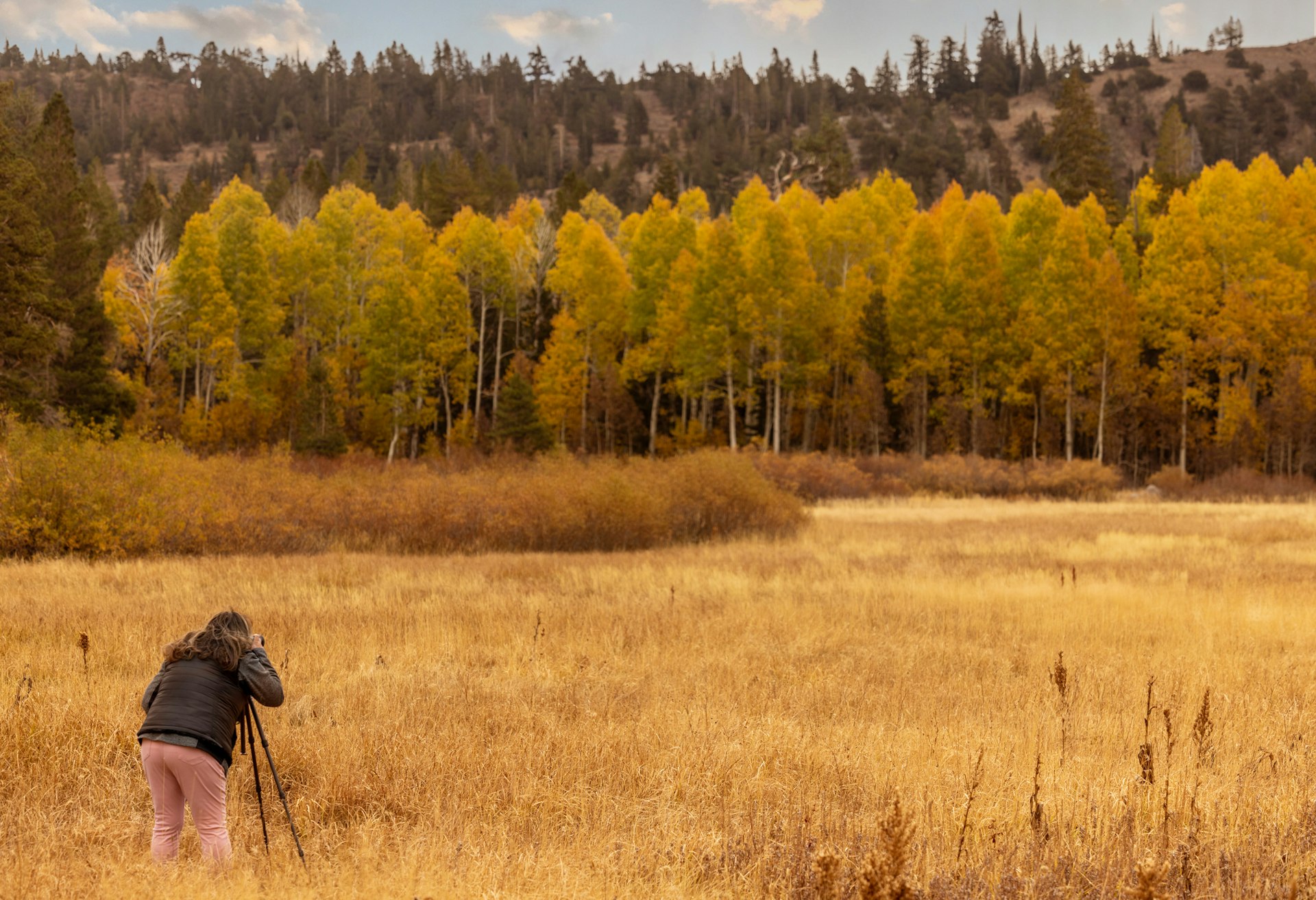 High quality stock photos of woman shooting photos of Autumn colors in the Sierra Nevada mountains in Nevada and California.