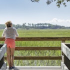 A lonely tourist leaning on a wooden railing on the platform and observing the surrounding marshes near Savannah in Georgia.
1360605001
Savannah, Georgia
