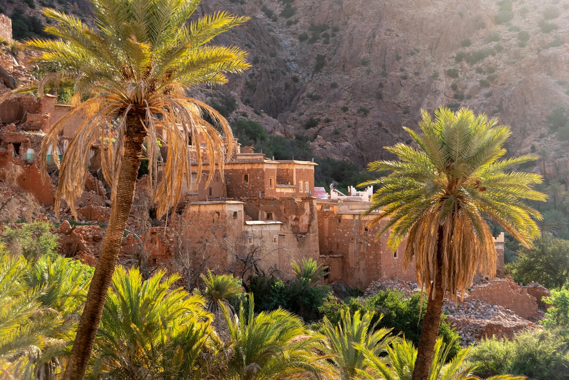 Traditional houses framed by palm trees in Oumesnat, Morocco